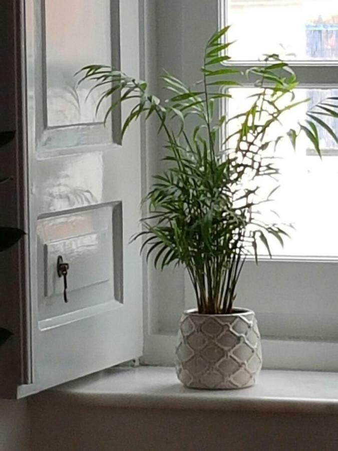 Maison d'hôtes Hydra Memories House Extérieur photo